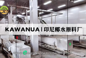 KAWANUA | 印尼椰水原料厂