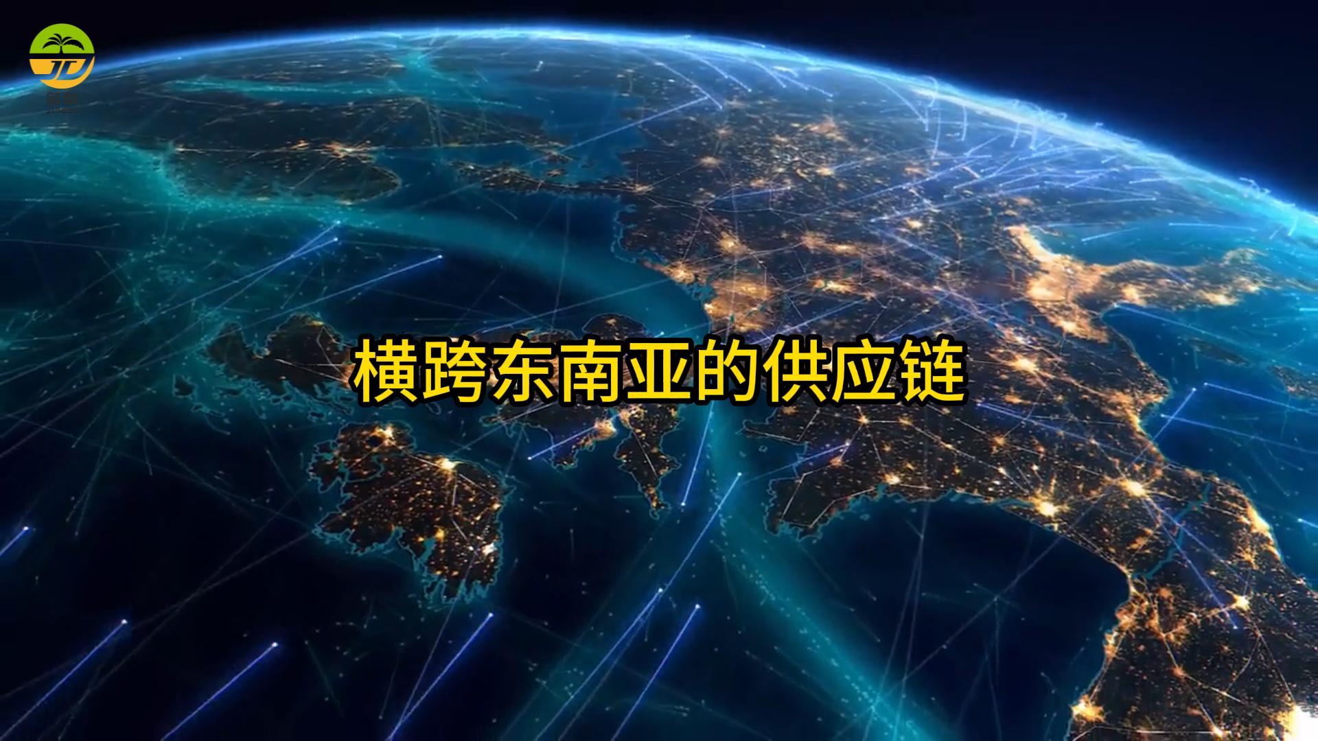 从椰林到港口，我们的效率快人一步！