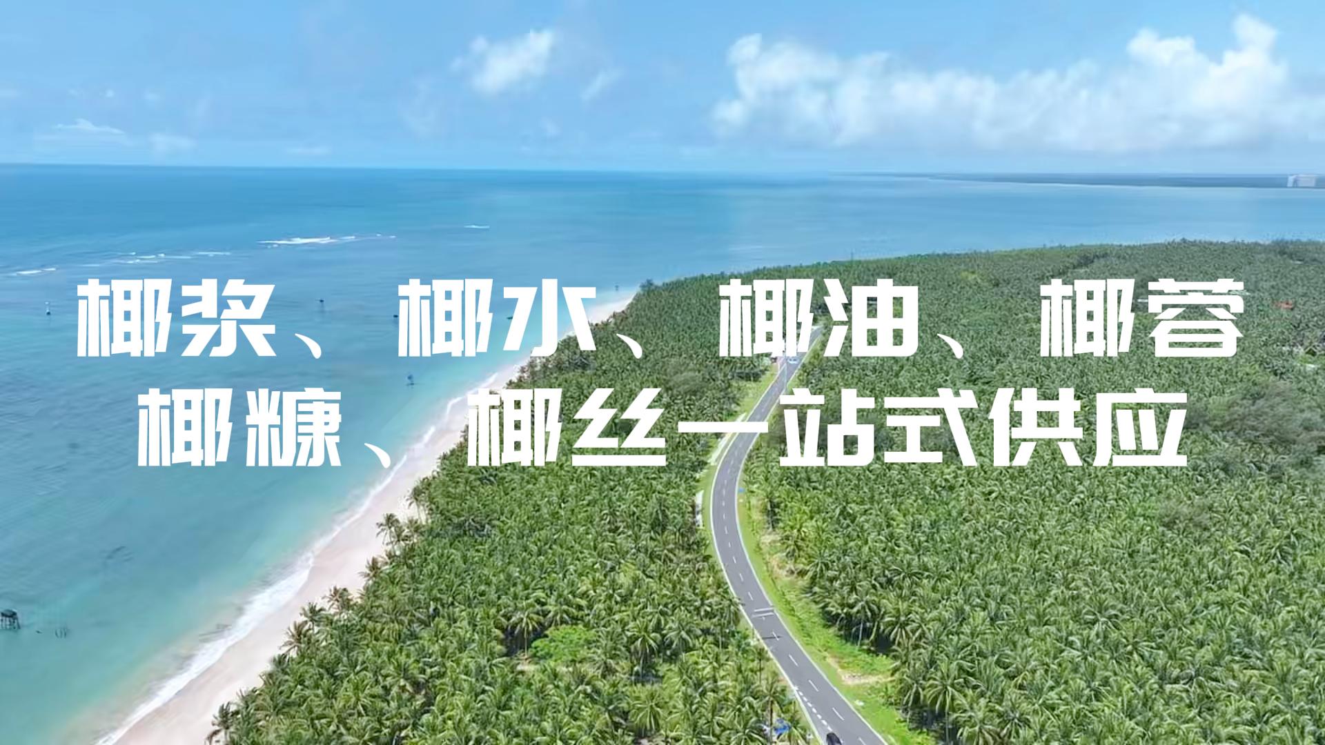 椰子原料全家桶一站式供应