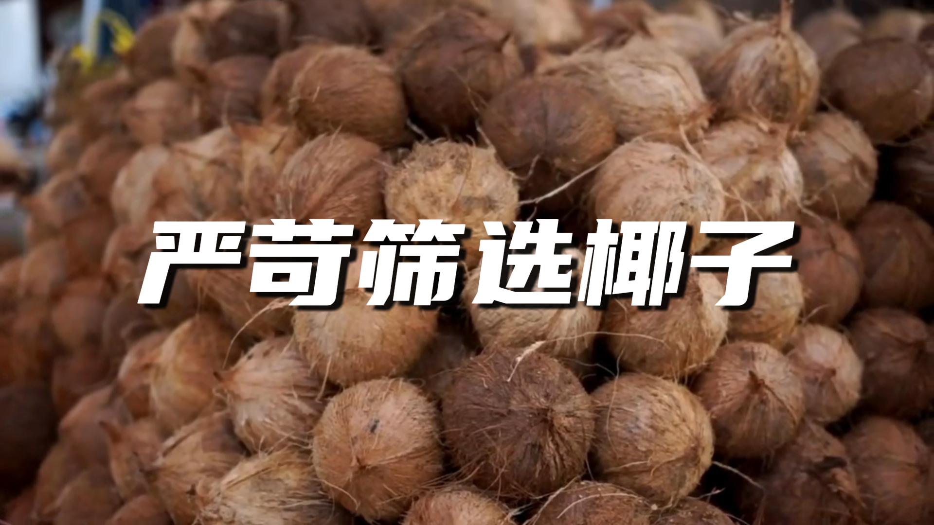 来自源头的底气