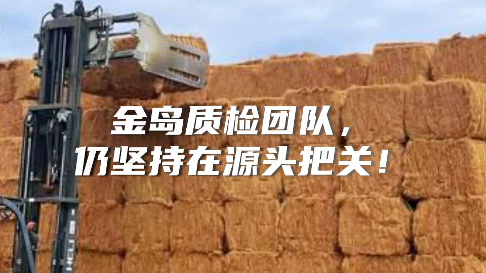 近期斯里兰卡洪灾，东南亚暴雨