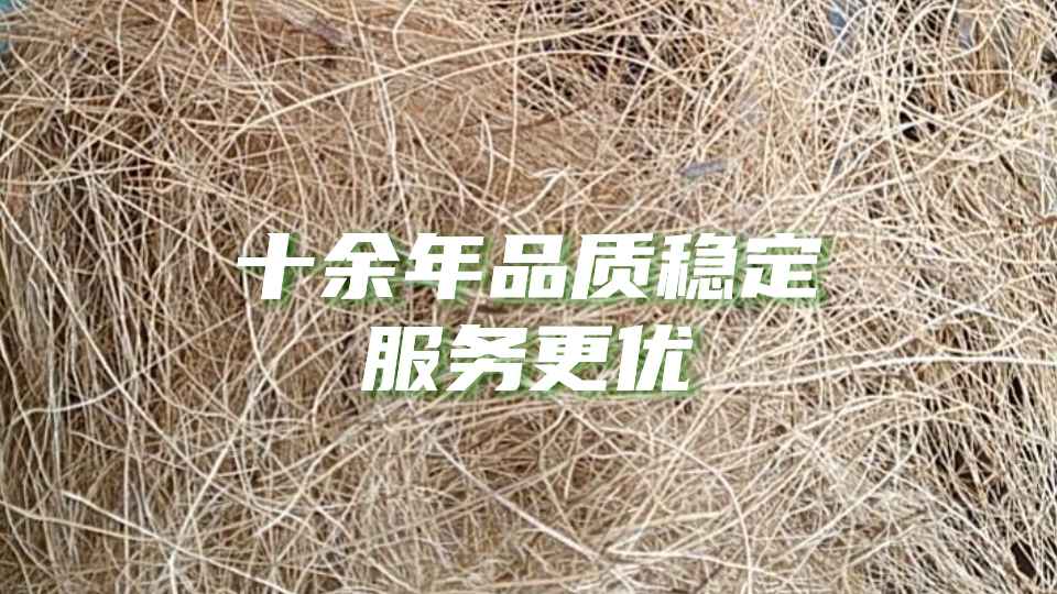 品质依旧，服务更优！