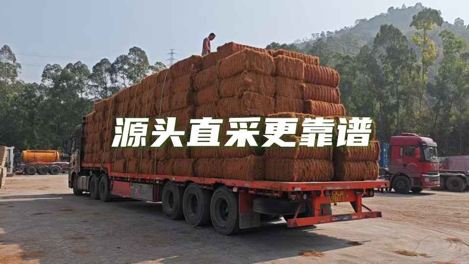 靠谱椰丝找准源头供应商