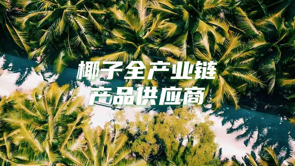 椰子全产业链产品供应商