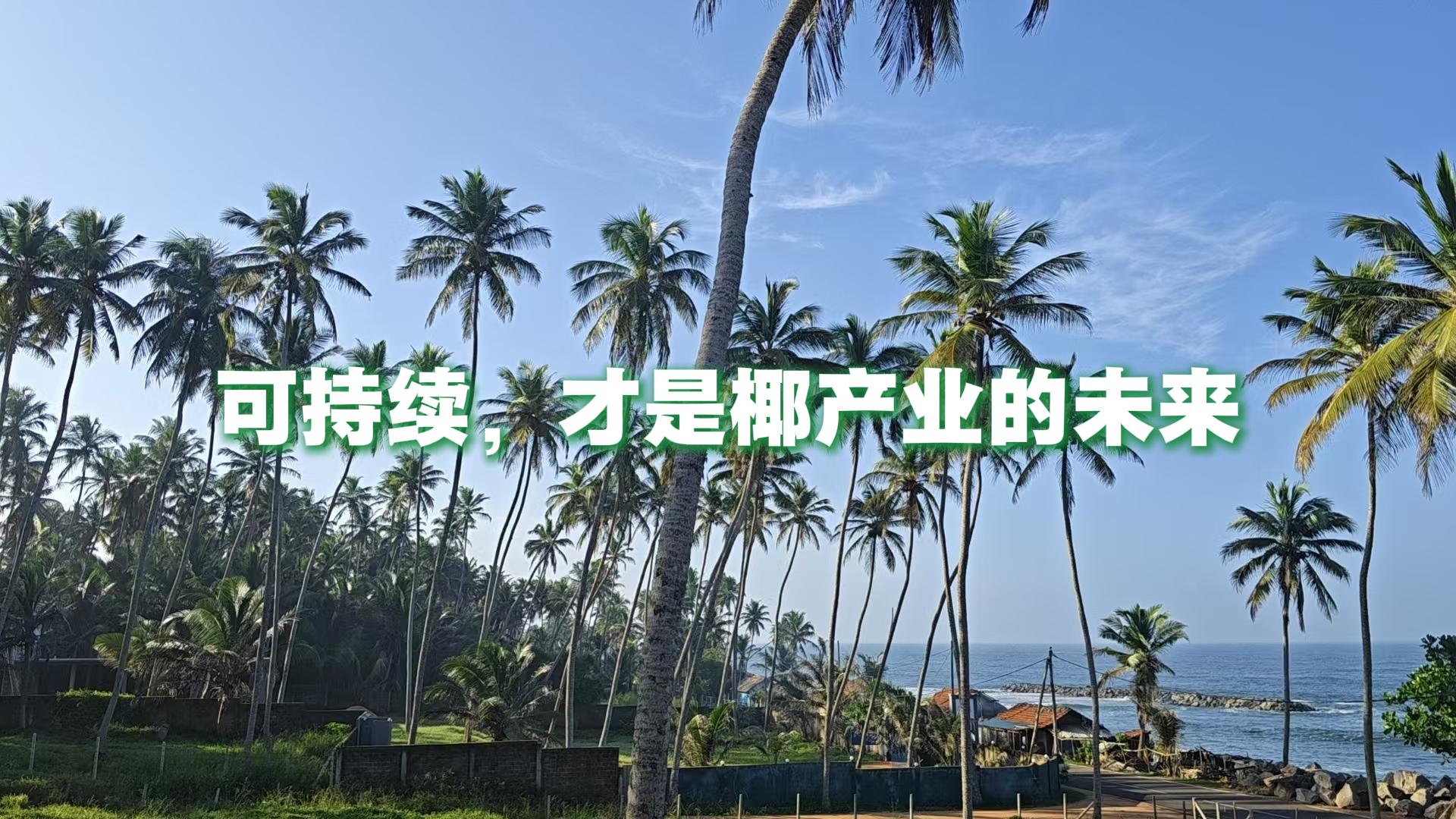 金岛只做负责任的椰原料供应商