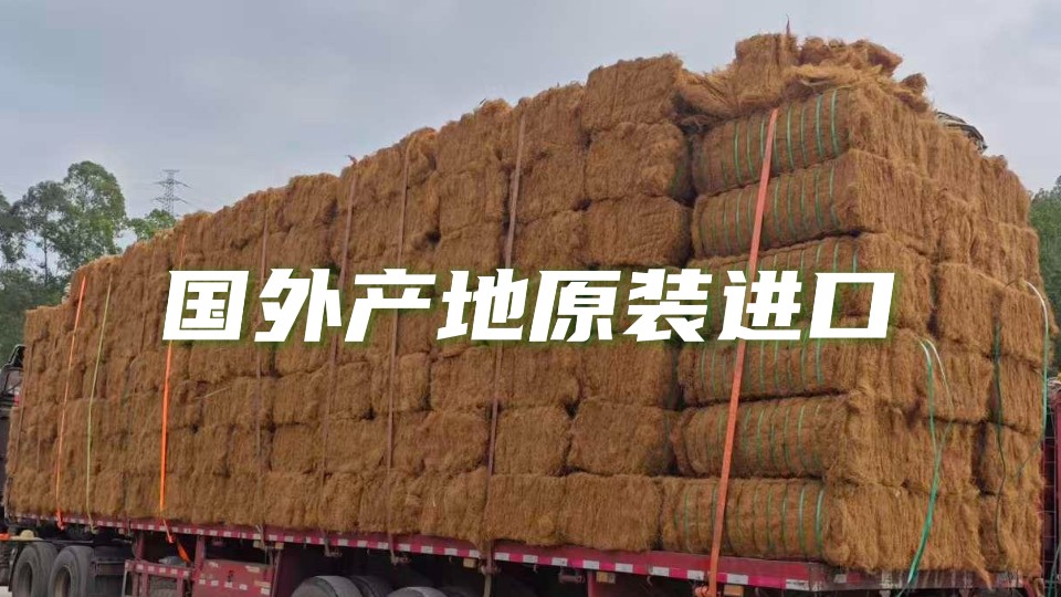 纤维长成型性好