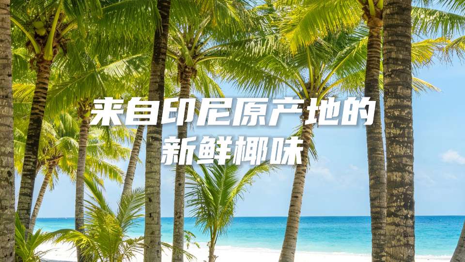 谁能拒绝来自印尼原产地的新鲜椰味呢？
