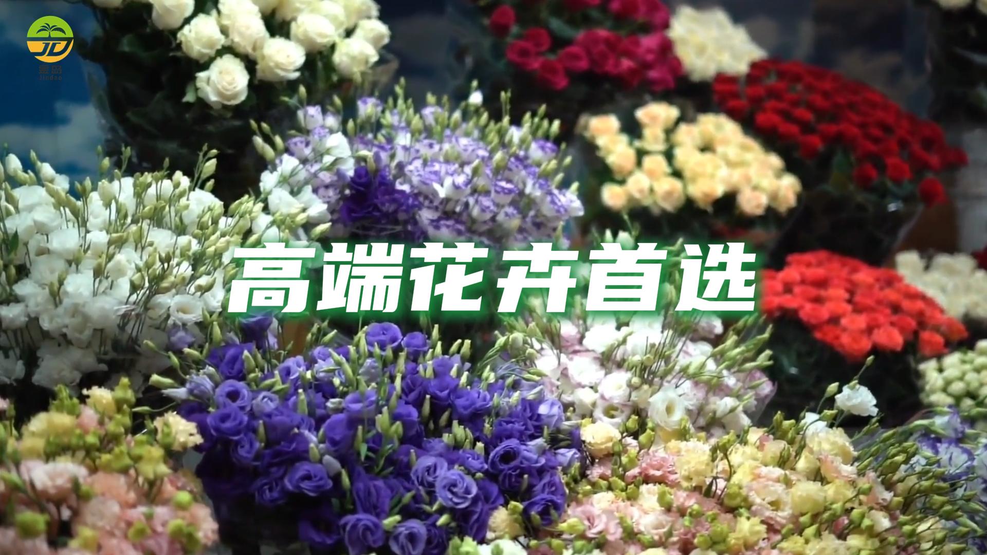 花卉种植基质