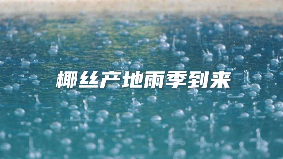 雨季又来了